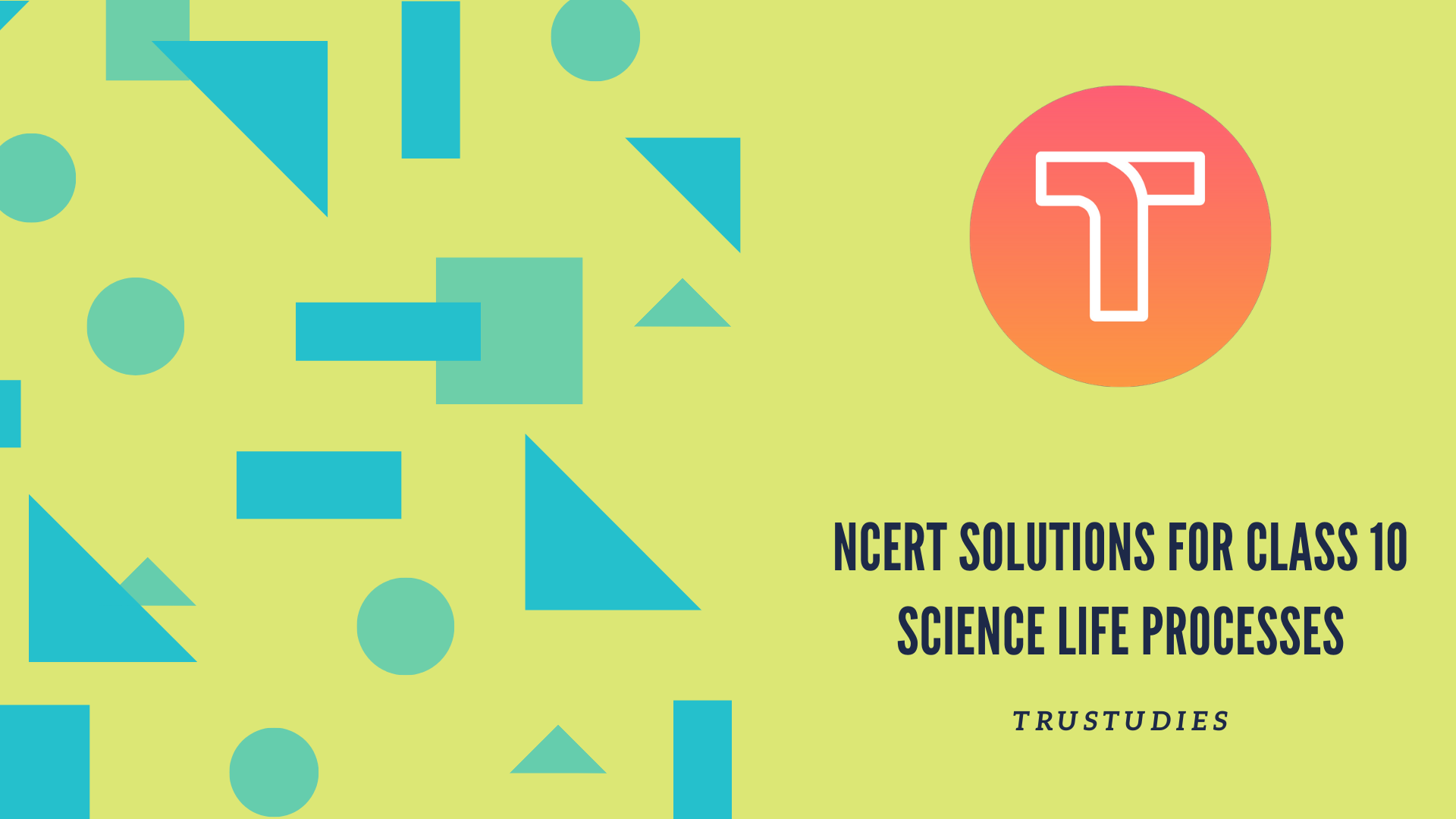 NCERT solutions for class 10 science chapter 6 life processes banner image