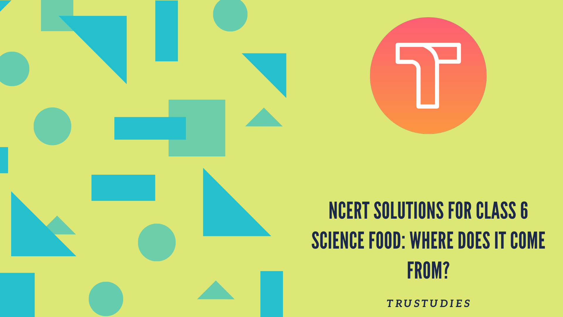 NCERT solutions for class 6 science chapter 1 food where does it come from banner image