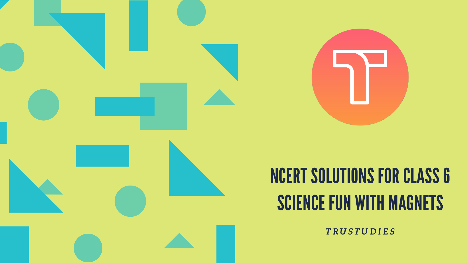 NCERT solutions for class 6 science chapter 13 fun with magnets banner image