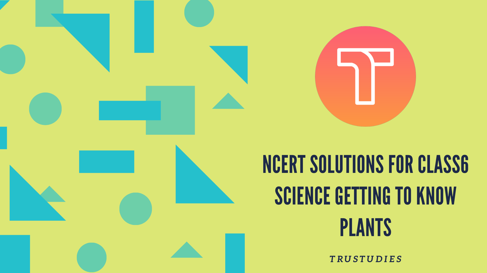 NCERT solutions for class 6 science chapter 7 getting to know plants banner image
