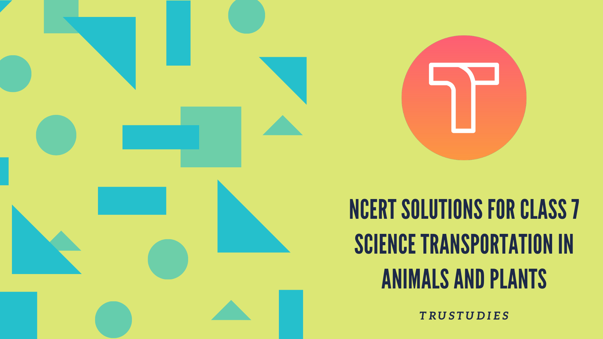 NCERT solutions for class 7 science chapter 11 transportation in animals and plants banner image